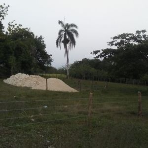 Meet your Posher, Hugo virgilio